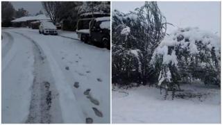 Oraşe din Australia, acoperite de cel mai gros strat de zăpadă din ultimele decenii