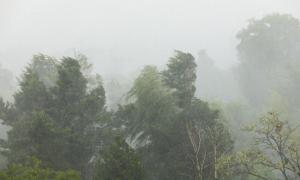 ANM a actualizat prognoza meteo pentru următoarele 4 săptămâni. Vremea în România până pe 1 septembrie