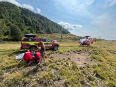 Panică în Maramureş după ce un copil de 7 ani a fost muşcat de viperă pe Creasta Cocoşului