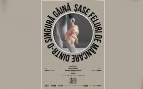 Piesa de teatru "Șase feluri de mâncare dintr-o singură găină" se joacă marţi, 16 septembrie, la Teatrul Nou, din Bucureşti