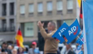 Premieră: Partidul de extremă dreapta AfD conduce într-un sondaj de opinie. în Germania
