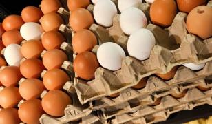 Loturi de ouă bio din Kaufland şi Mega Image, retrase din cauza riscului de contaminare cu bacteria Salmonella