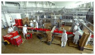 Fabrica Napolact din Baciu, Cluj