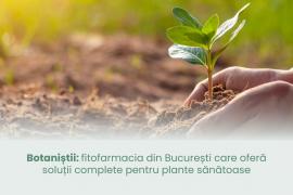 (P) Botaniștii: fitofarmacia din București care oferă soluții complete pentru plante sănătoase