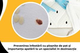 (P) Prevenirea infestării cu ploșnițe de pat și importanța apelării la un specialist în dezinsecție