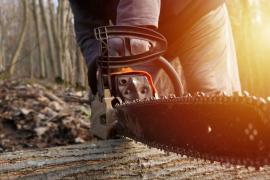 (P) Cum întreții corect o drujbă electrică sau pe benzină?