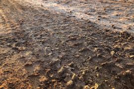 Primărie din România, obligată să asfalteze o stradă. A ridicat încadrarea, deşi oamenii stăteau tot în noroi