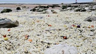 Plajă din UK, acoperită complet de cartofi congelaţi şi ceapă. Mormanele de legume atingeau chiar şi 1,5 m