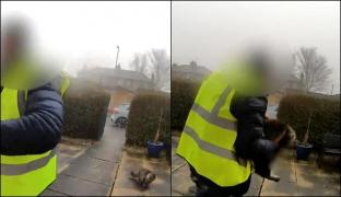 Nu i-a răspuns la uşă pentru a-i livra coletul, aşa că i-a furat pisica. Momentul, surprins de camere