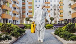 (P) Cât de des trebuie făcută deratizarea într-un bloc