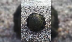 Mină marină eșuată pe plaja din Midia