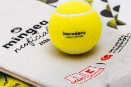 (P) Când performanța înseamnă acces: Mingea neoficială, la Transylvania Open