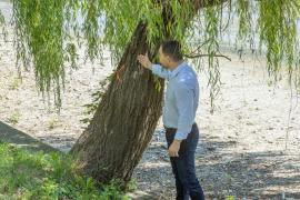 Primăria Bucureşti prezintă bilanţul copacilor din jurul Lacului Herăstrău. Sunt necesare intervenţii