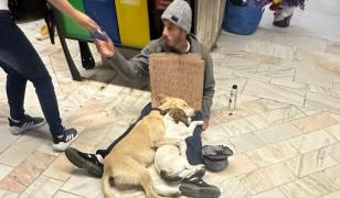 Cerşetor însoţit de câini, acuzat că sedează animalele pentru a primi bani. Bucureştenii pregătesc un protest