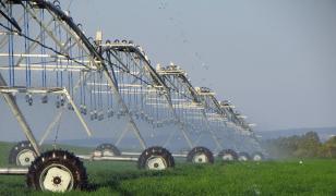 Urmările secetei în Ungaria. Apa din iazurile piscicole, folosită pentru irigarea terenurilor agricole