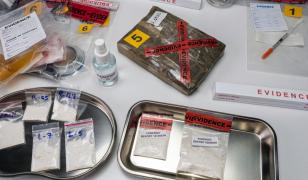 Un român, mama şi mătuşa lui, arestaţi în Austria. Sunt acuzați că au vândut 1.000 de plasturi cu Fentanyl