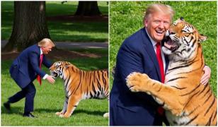 Trump a postat un videoclip 