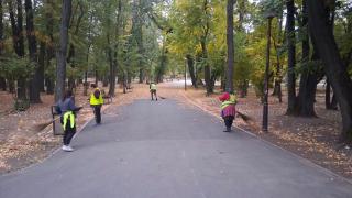 Frunzele căzute, motiv de dezbatere la Primărie. Bucureştenii sunt întrebaţi pe Facebook dacă trebuie strânse
