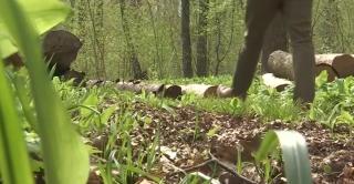 Pădurar de 50 de ani, găsit mort într-un complex de vânătoare din Maramureș. Ipotezele anchetatorilor