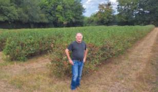 Fructul neobişnuit pe care a mizat un agricultor ca să dea lovitura. Ce i-a încurcat planurile