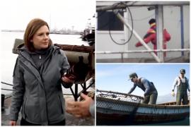 Caracatița afacerilor cu pește. DNA confirmă ancheta Observator: doi inspectori ANPA, trimiși în judecată