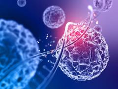 (P) Cum influențează stresul oxidativ procesul de îmbătrânire celulară