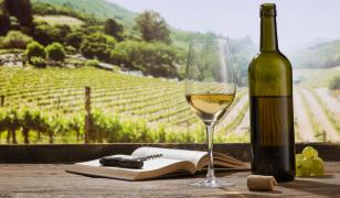 De ce nu trebuie să arunci dopurile de plută de la sticlele de vin. Modurile în care le poţi folosi
