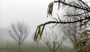 Cea mai rece dimineață de la începutul toamnei. Temperaturile au coborât până la -6 grade
