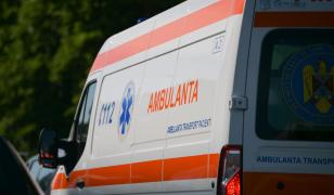 Noi cazuri de rabie, în Harghita. O pisică a atacat şi muşcat o femeie şi doi câini