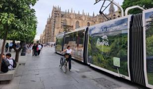 Cum e promovată România în Sevilla. Castelul Peleș, Delta Dunării și Transfăgărășanul, pe străzile oraşului