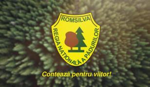 Romsilva a câştigat definitiv procesul pentru cele 43.000 de hectare de pădure retrocedate ilegal