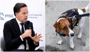 Povestea bizară a lui Rutte la Munchen: Câinele ucrainean Patron mi-a spus 