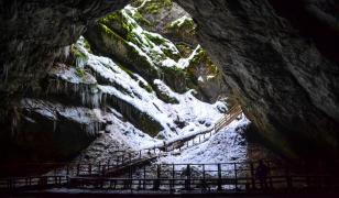 O bacterie veche de 5.000 de ani, descoperită în Peştera Scărişoara. E rezistentă la antibiotice moderne