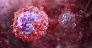 (P) Ce sunt monocitele și când se recomandă analiza monocitelor