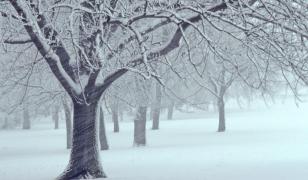 ANM anunţă un nou val de ninsori şi viscol. Care sunt zonele vizate