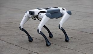 Oraşul din România unde roboţii circulă liberi pe străzi: 