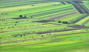 O companie olandeză îşi anunţă plecarea din România. Scoate la vânzare aproape 800 de hectare de teren agricol