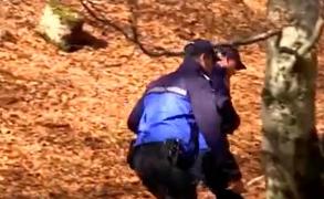 Transport de lemne furate oprit în Baia de Fier, Gorj. Cât valorau buștenii