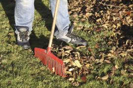 Îşi făcea curăţenie în curte, când un bărbat din Harghita a făcut o descoperire neaşteptată. A sunat la 112