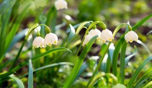 Cum va fi vremea de Paște. Prognoza meteo pentru următoarele săptămâni