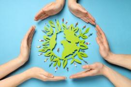 (P) Cum contribuie transferul de responsabilitate la protecția mediului?