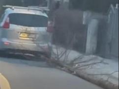 Şofer din Bistriţa, filmat chiar de primar cum trage un copac cu maşina prin oraş: 