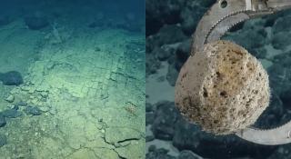 Mister în adâncuri: cercetătorii au găsit un "drum" pe fundul Oceanului Pacific