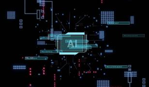 Sistemele de Inteligenţă Artificială judecă oamenii şi dezvoltă preferinţe pentru anumite categorii