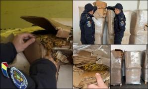 Peste o tonă de tutun ilegal, descoperită de poliţiştii de frontieră într-o dubă, la vama Giurgiu