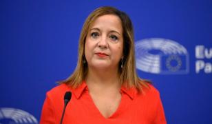 Lidera social-democraților europeni: Nu există o înțelegere între PSD şi extrema dreaptă pentru un nou Guvern