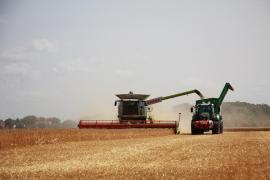 Criză în agricultură: insolvențele au explodat cu 182%. Fermierii pierd bani chiar și după recolte record