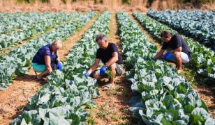 Comisia Europeană: Românii care au muncit în străinătate ar putea primi șomaj de la statul unde au lucrat