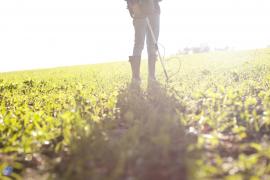 Descoperire inedită făcută de un bărbat pe un teren agricol dintr-o comună din Iași. Vechime de 3.000 de ani