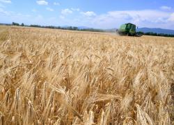 Fermierii români primesc bani de la UE până în 2027